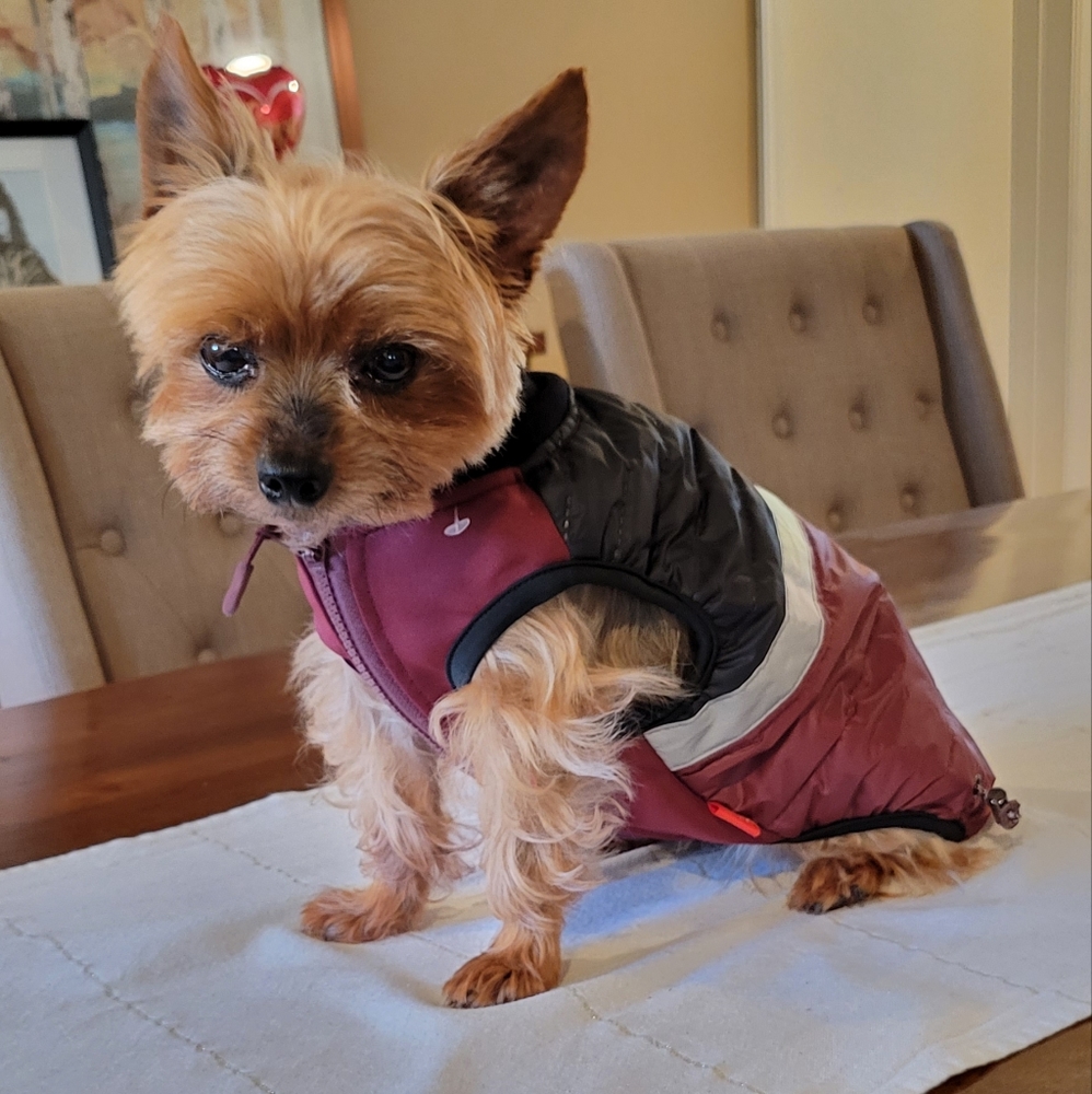 ❤️ Host Pick!❤️  Lightweight Dog Puffer Vest S